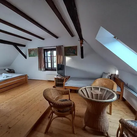 Guest house U Dracice Nova Bystrice